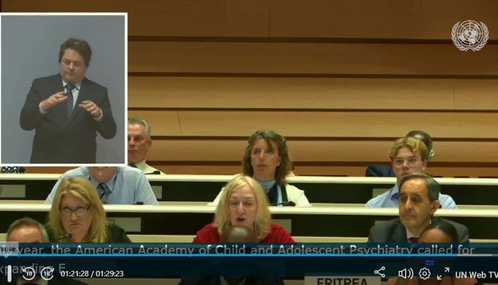 Capture ecran ONU CCHR INT