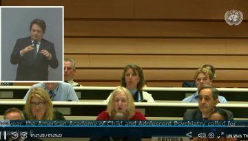 Capture ecran ONU CCHR INT