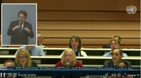 Capture ecran ONU CCHR INT