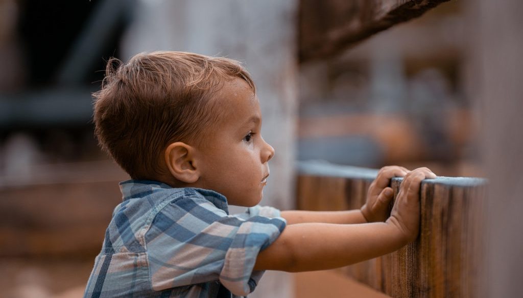 ronaldplett-boy-8209561_1280