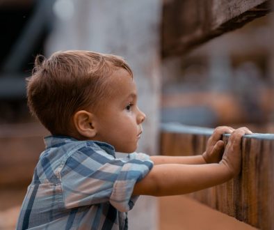 ronaldplett-boy-8209561_1280